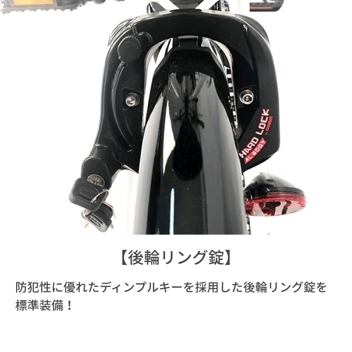 折りたたみ自転車 電動アシスト自転車 PELTECH(ペルテック) TDN-206L