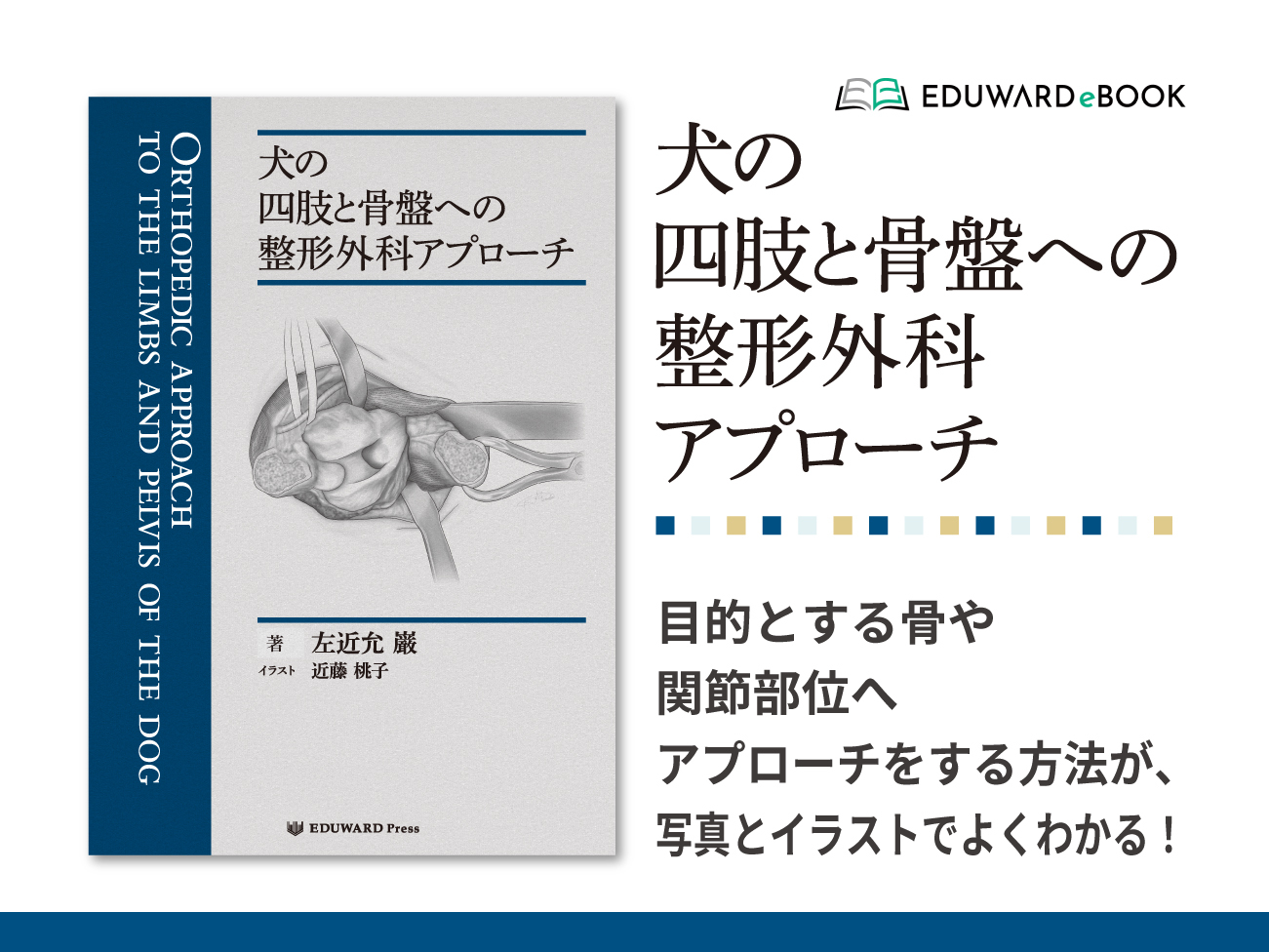 新刊書籍】「犬の四肢と骨 - EDUONE Pass