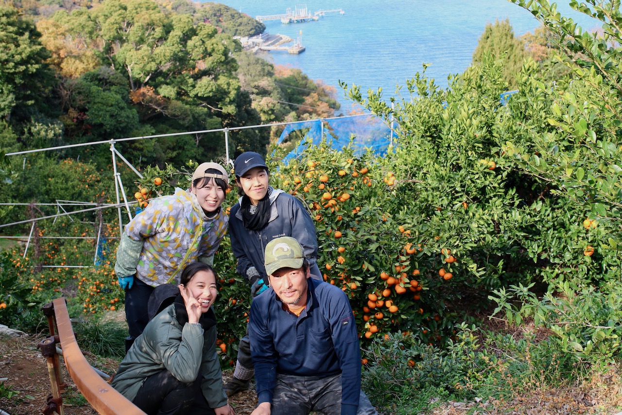 みかん援農 | 「海を望み、風と土が出会う地」 山喜農園で援農する人たち
