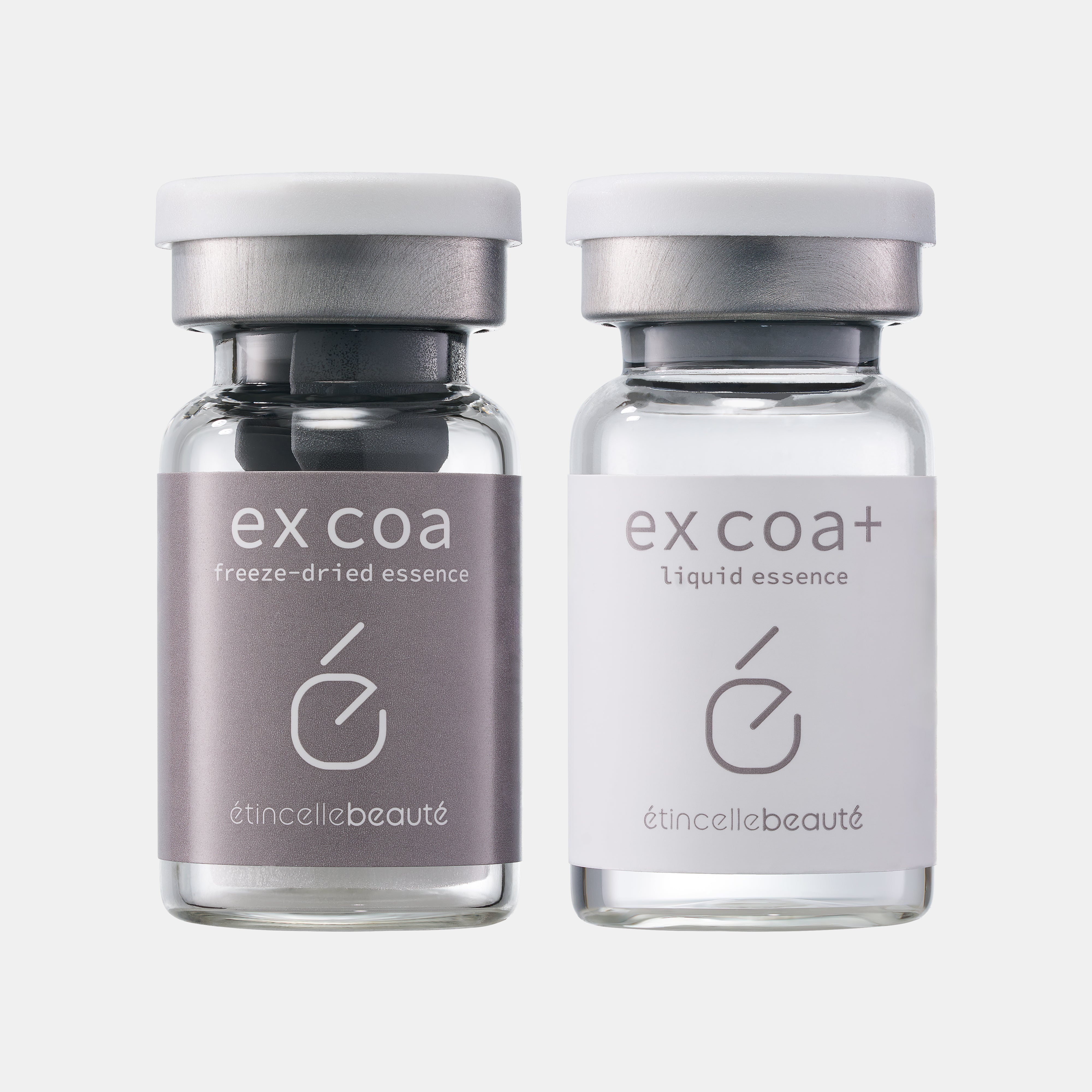 ex coa & ex coa⁺ エクソソーム 線維芽細胞 – エタンセルボーテ