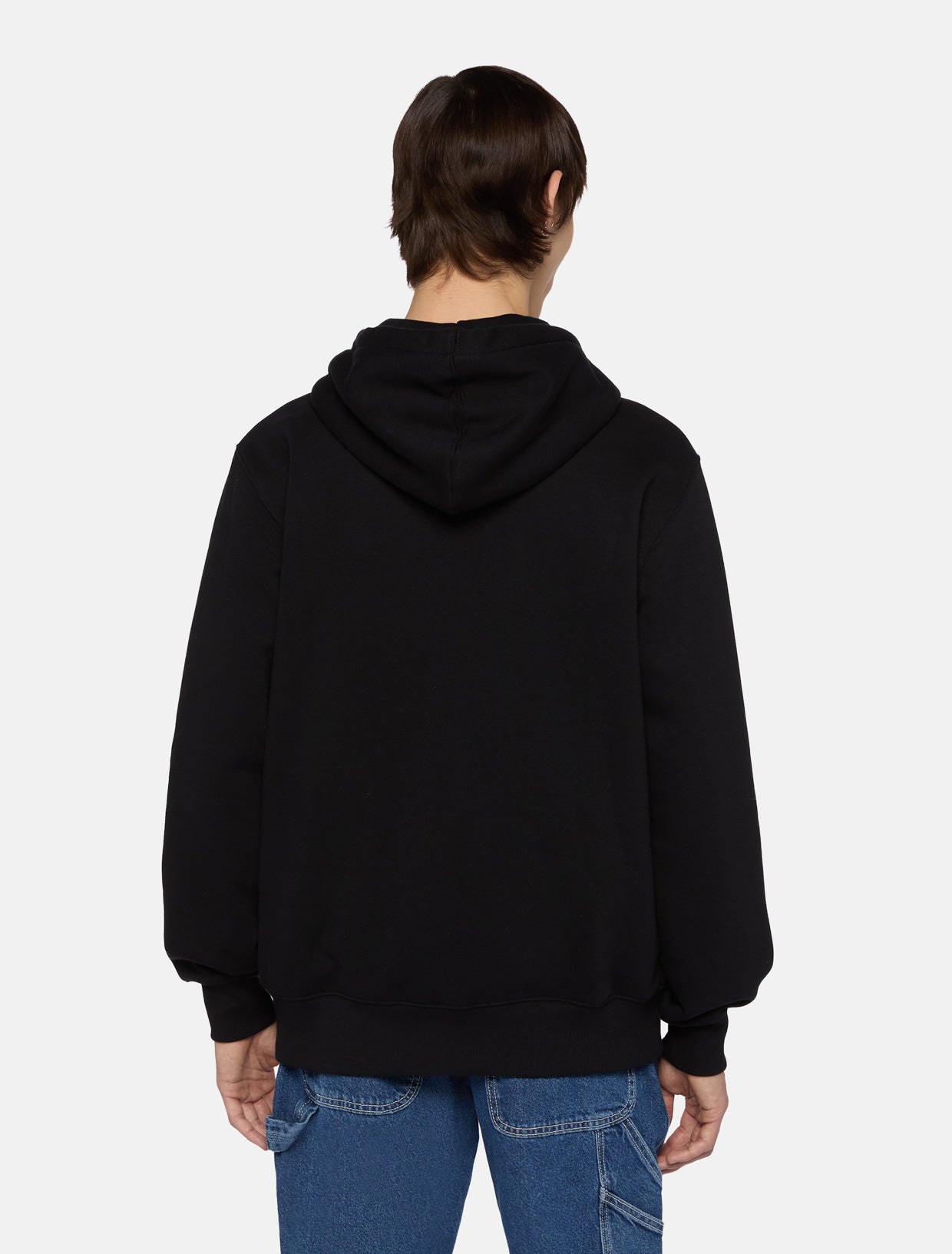 Summerdale full-zip hoodie | Dickies GB