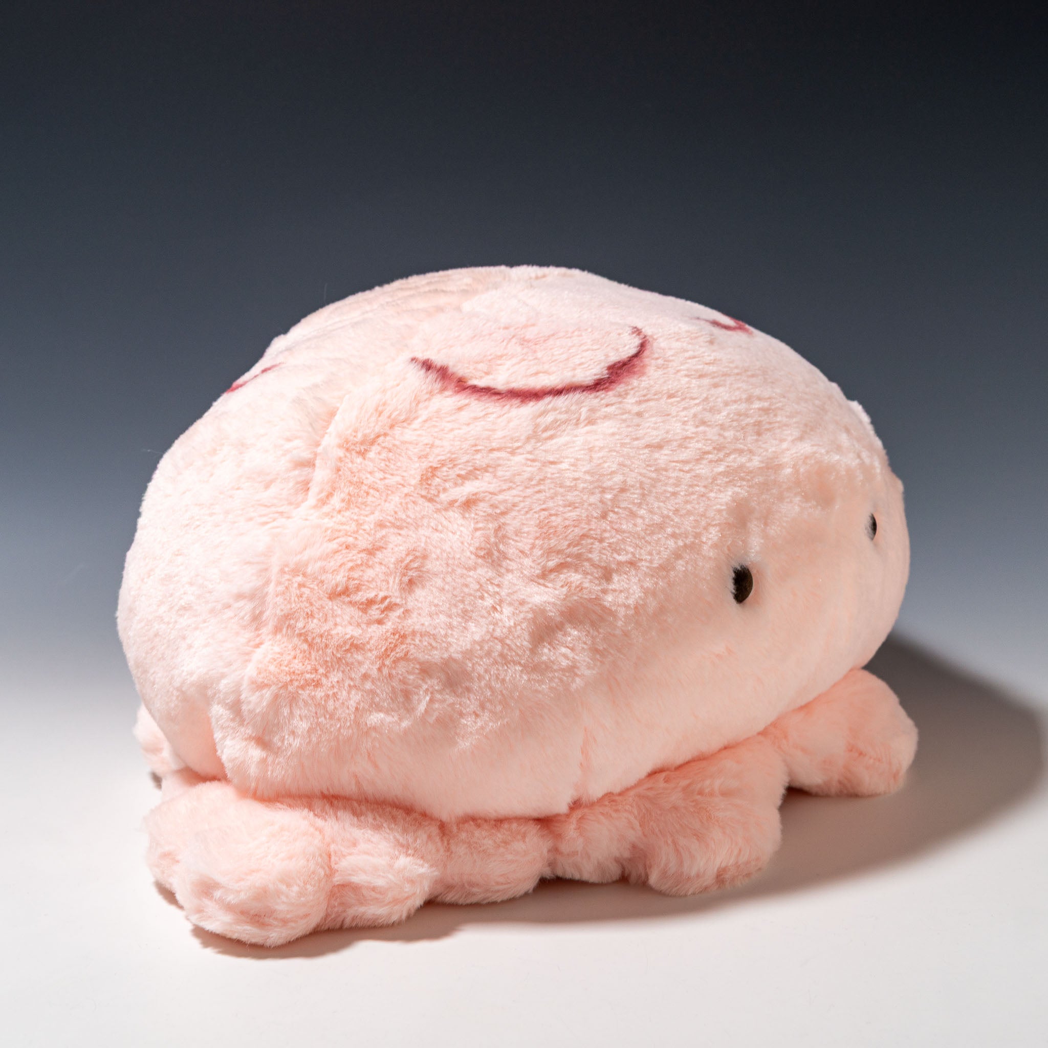 内藤デザイン研究所 ぬいぐるみ 海中散歩 もちだっこ クッション 全4種