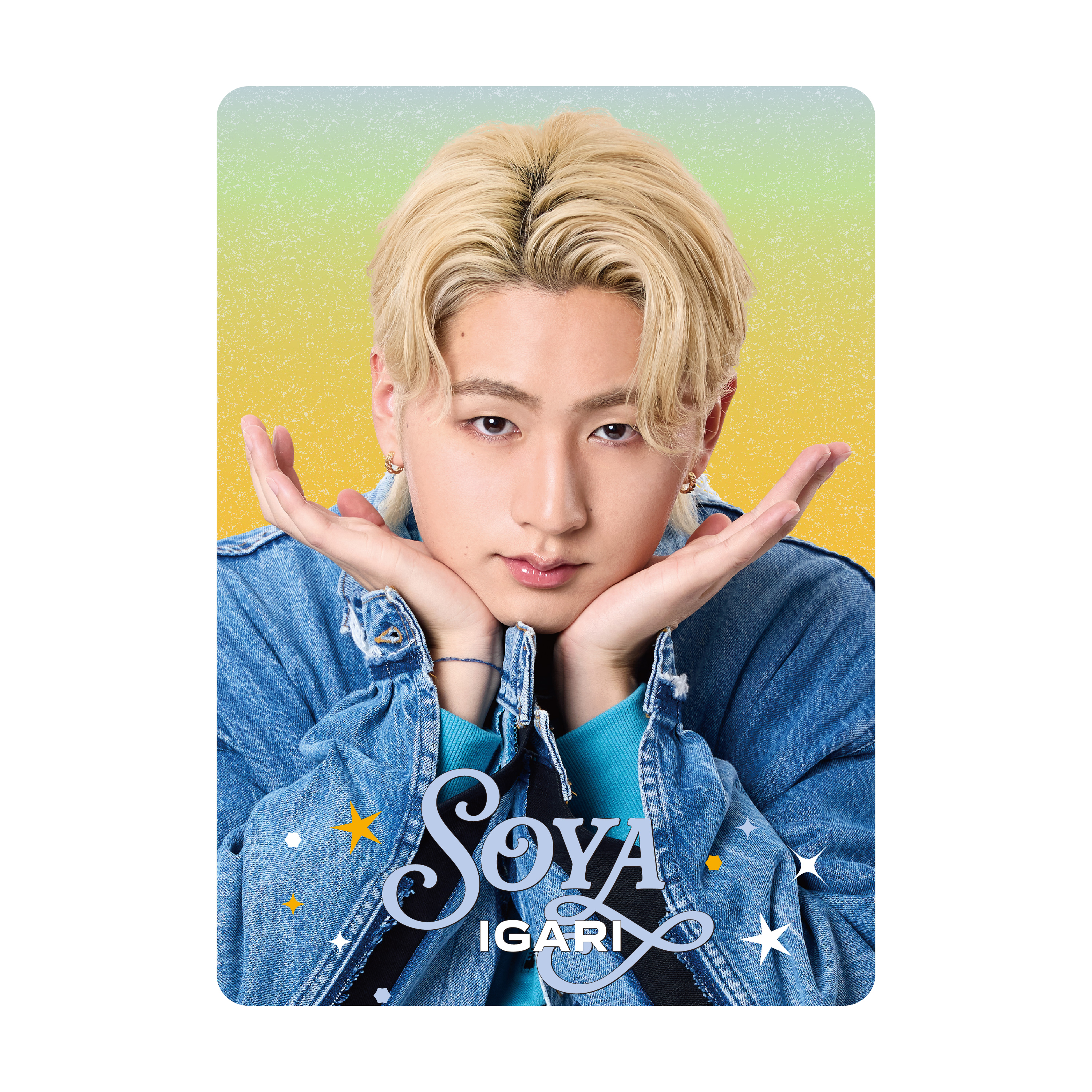 猪狩蒼弥 プロフィールカード | ファミクラストア オンライン