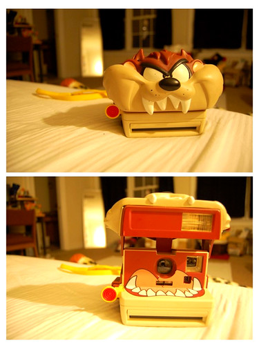 Polaroid Taz - Camera-wiki.org - The free camera encyclopedia