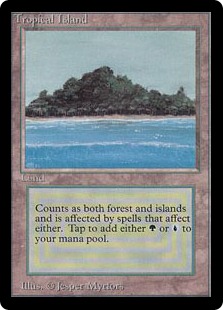 Tropical Island》[LEA] 土地R | 日本最大級 MTG通販サイト「晴れる屋」