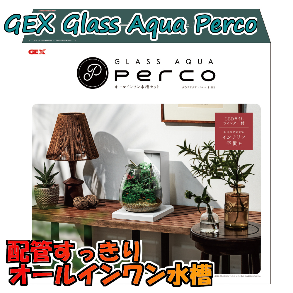 東京都板橋区の熱帯魚プロショップFISH JAPAN / GEX グラスアクア