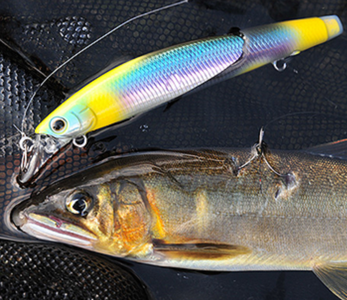 アユイングミノーSSは2023年新発売の鮎釣り専用ルアー【ダイワ】