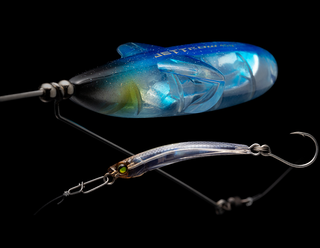 24エメラルダスXは2024年新登場のエギング用スタンダードスピニング