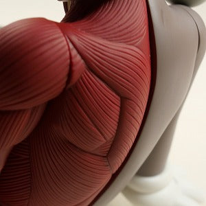 KAWS カウズ ×MEDICOM TOY COMPANION Resting Place フィギュア 茶