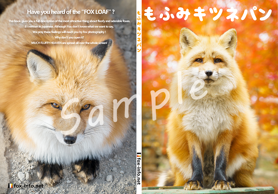 キツネ写真集「もふみキツネパン」 | キツネグッズショップ | キツネ写真館