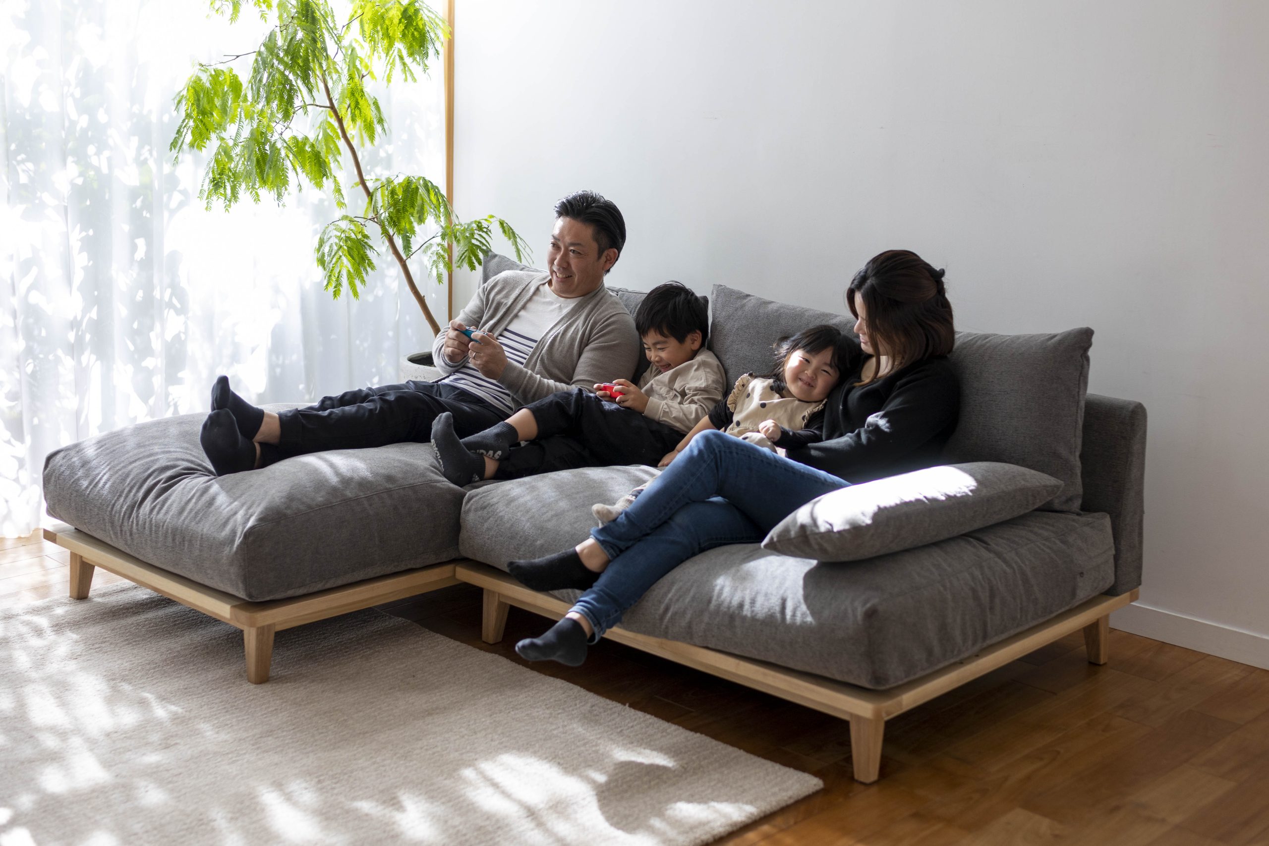 幸せになるソファ - オーナーとペットの境界のない暮らしを、ソファ