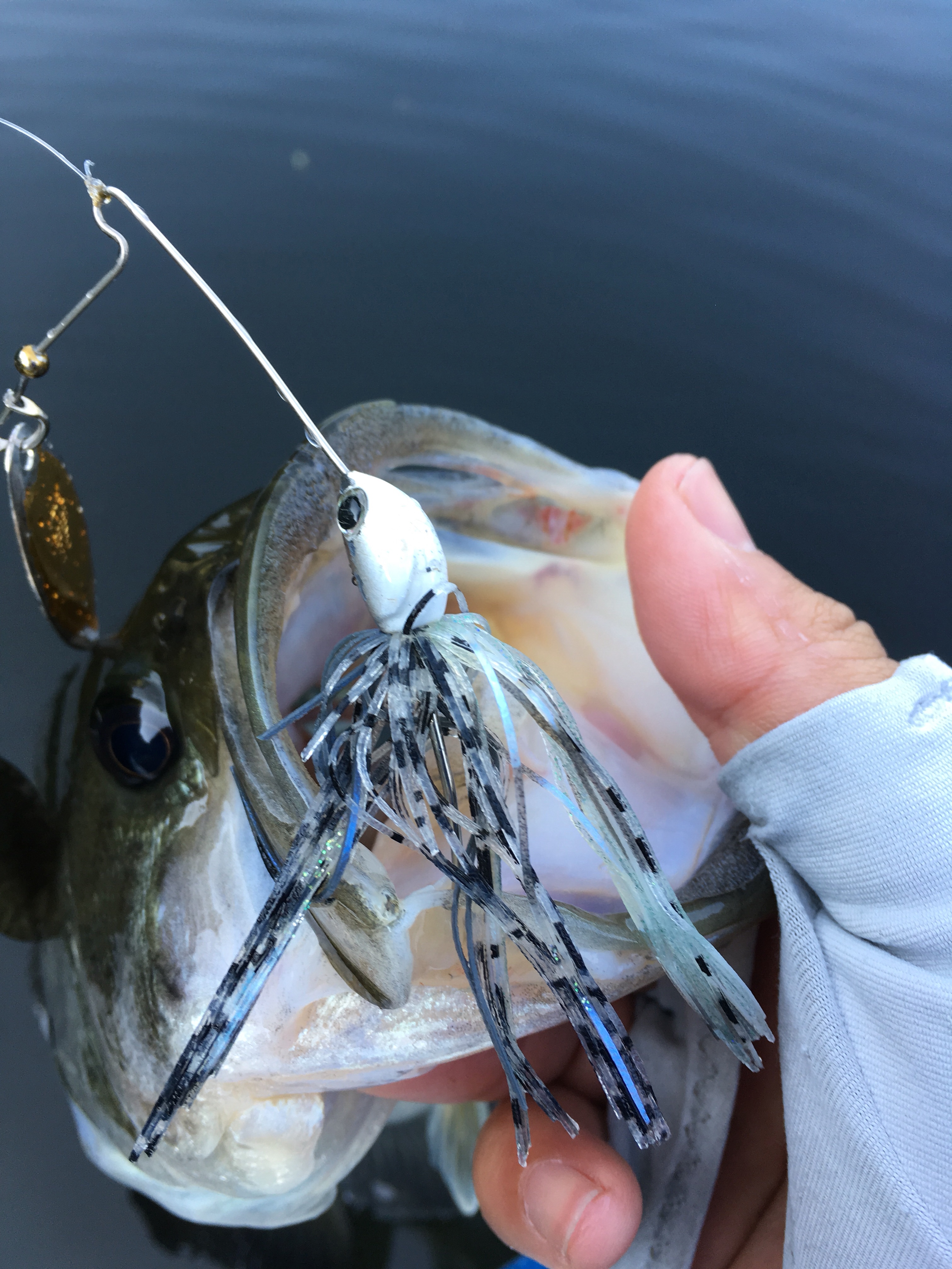 ノリーズ ロードランナー ハードベイトスペシャル HB600L