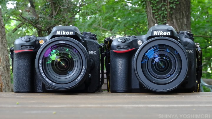 7000シリーズの最新モデル『ニコン D7500』実写レポート第2弾 | CAPA