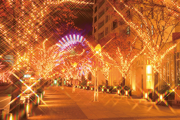 イルミネーション撮影の必勝アイテム！「キラキラ」と「ふんわり」効果