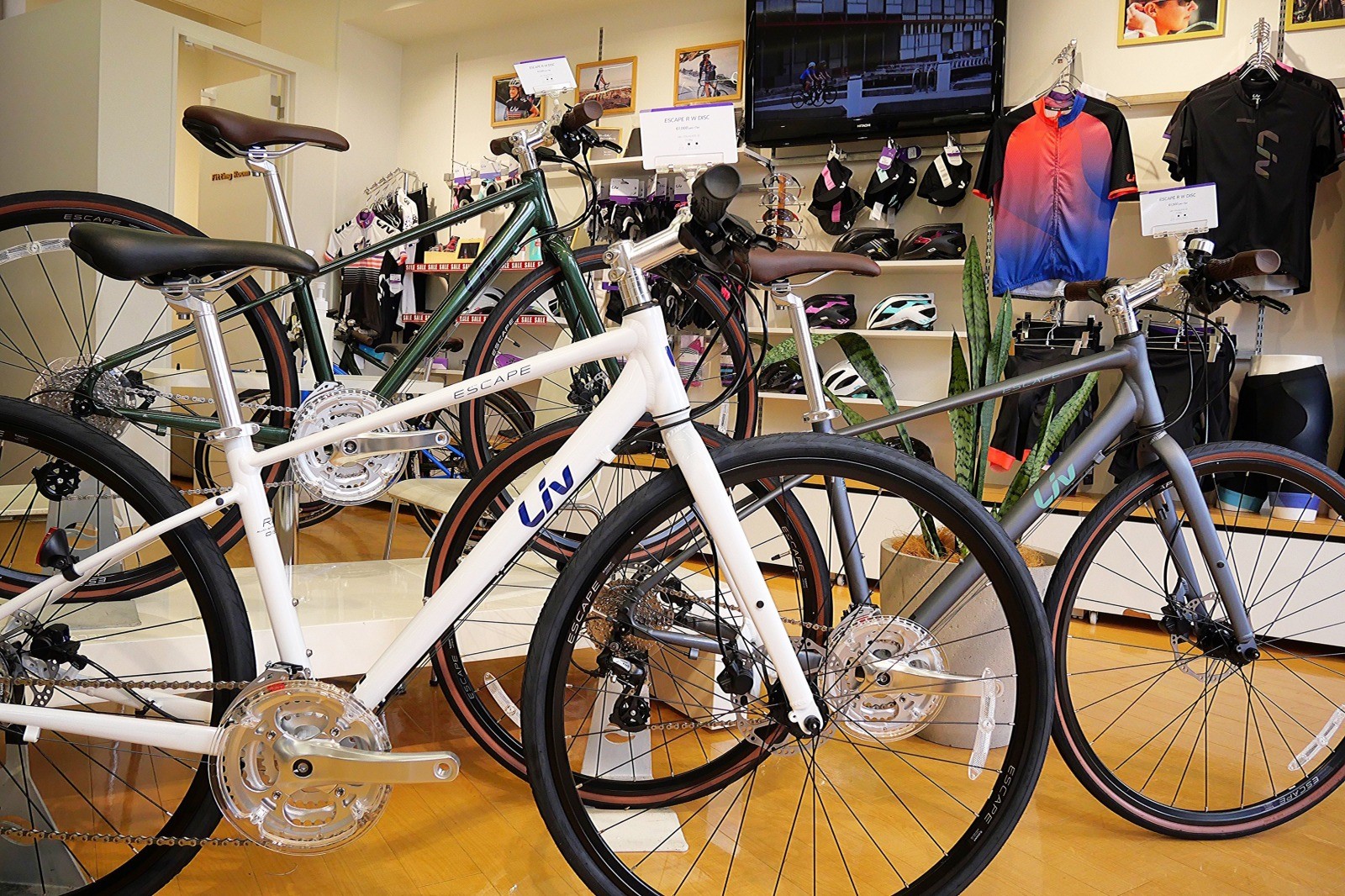 Liv】ESCAPE R W DISC (2021new)入荷しております ｜ ジャイアント