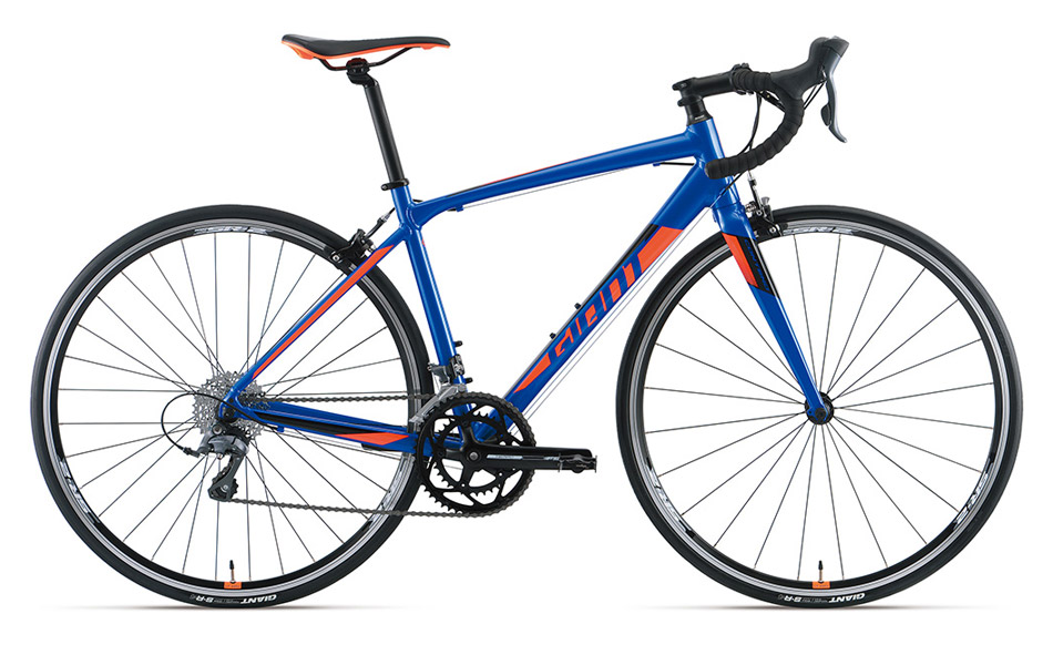 ロードバイク」新たな入門ロードバイク[CONTEND] ｜ ジャイアント