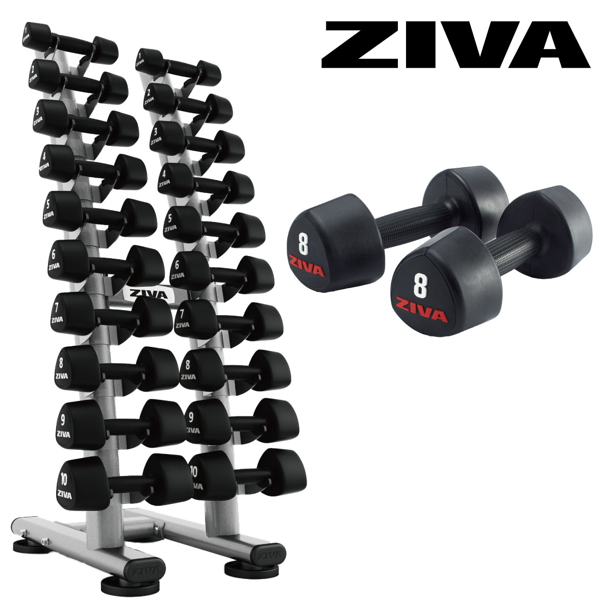 ラバースタジオトライベル10ペア＋10ペアスタジオダンベルラックセット