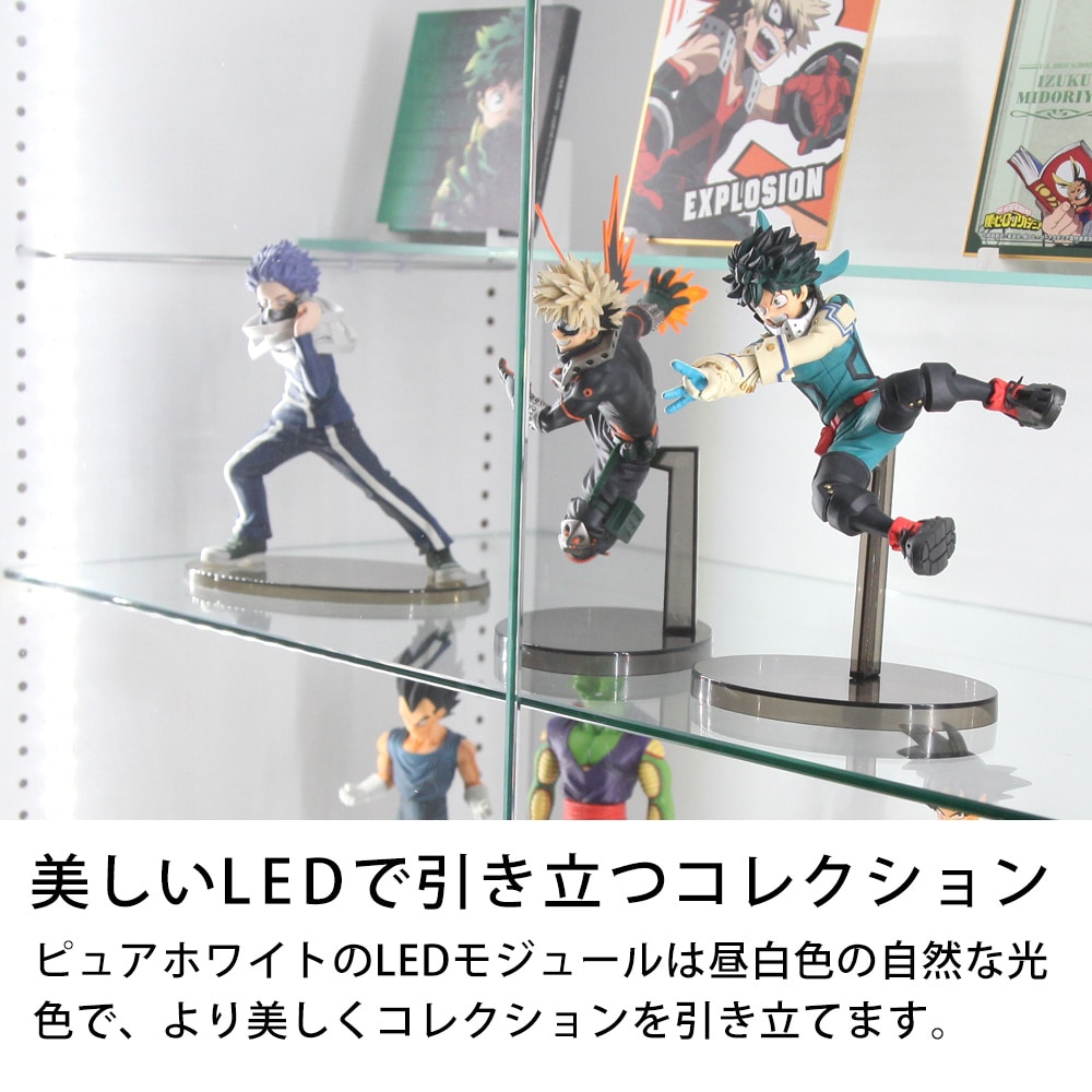 コレクションラック レギュラー・ワイド 専用オプション LEDモジュール