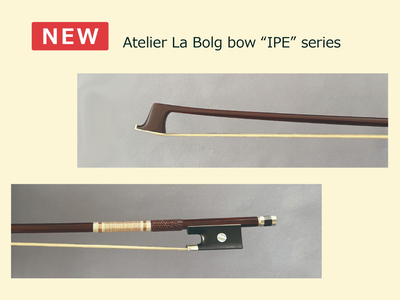 更新情報｜株式会社グローバル