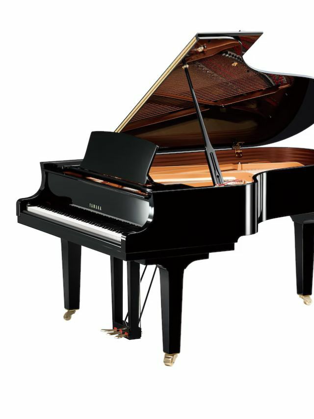 000000001228-01-m.jpg?t=