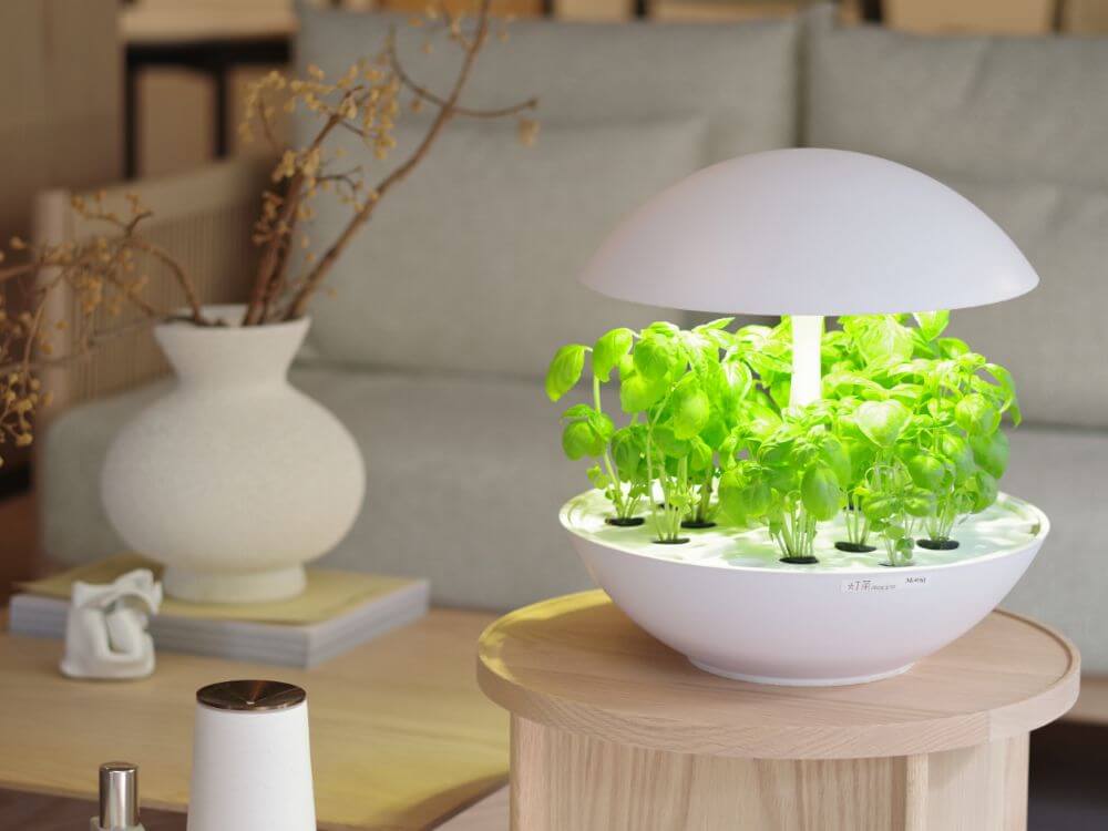 LED水耕栽培器「灯菜（アカリーナ）」で野菜を育ててみよう