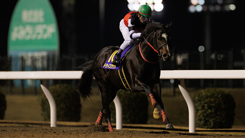 全日本2歳優駿回顧】ドライスタウトが圧巻の走りでレコードV