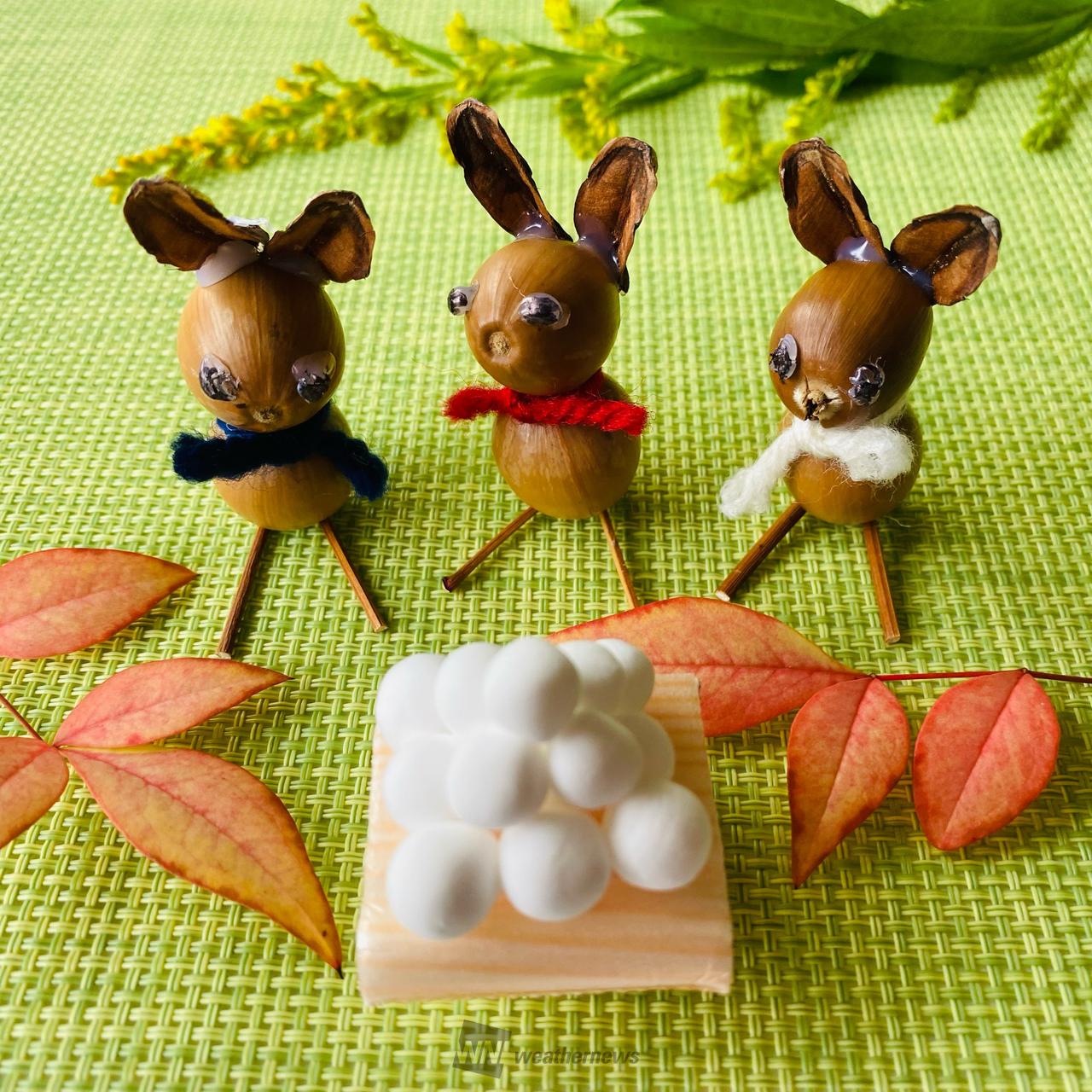 どんぐりアートを作ろう！ 注目の空の写真 ウェザーニュース