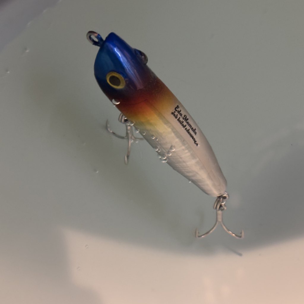 3Dプリンターで自作のルアーを作ってみた！｜釣りなどの色々な楽しい