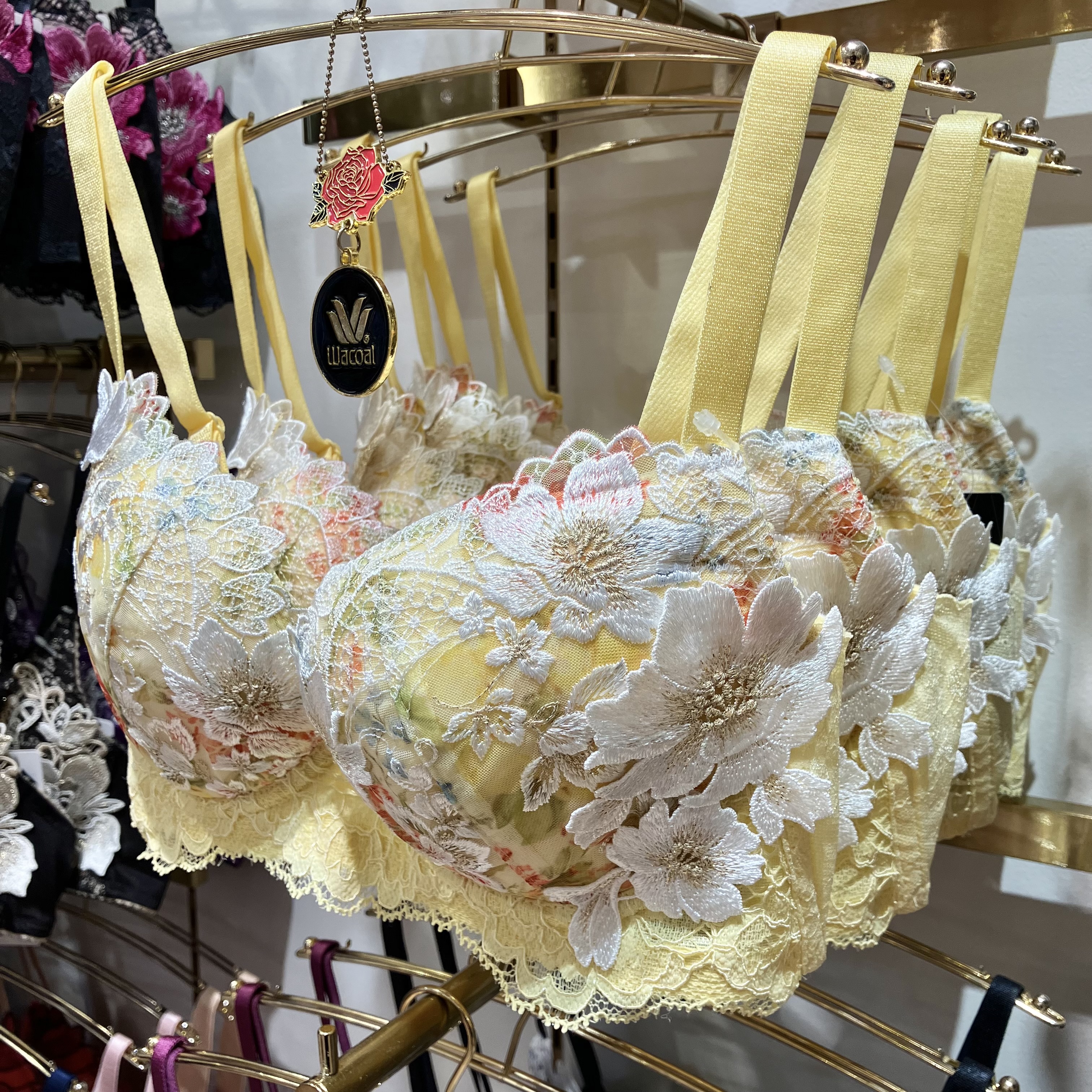 サルート新作⭐︎限定発売商品 | ショップブログ | 日吉東急アベニュー