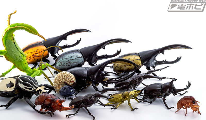 くじを引けばそこは企画展示室！「一番くじ昆虫 世界の昆虫博物館