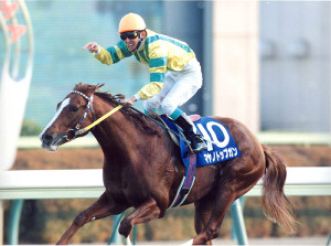 マヤノトップガンが老衰で死す 1995年有馬記念などG1・4勝