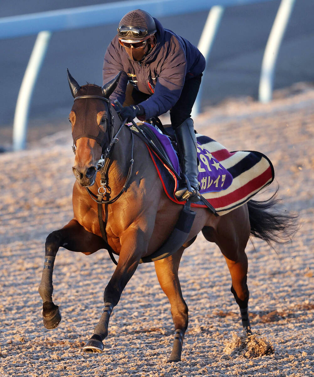 有馬記念ファン投票】レガレイラが史上最多の61万2771票でトップ