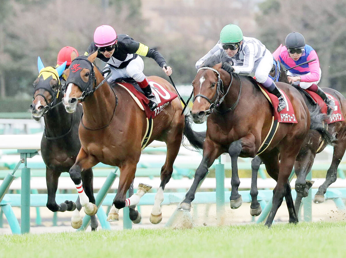 報知杯弥生賞】ディープインパクト産駒のアスクビクターモアがV