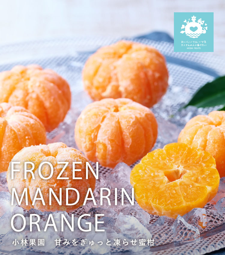 送料込】小林果園 甘みをぎゅっと凍らせ蜜柑《KEA-01A》｜公式通販ホシ