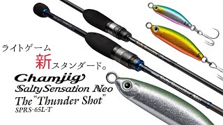 EVERGREEN（エバーグリーン インターナショナル） - NEOS-82H-T