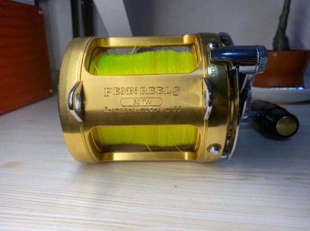 Penn International 30tw for sale | eBay