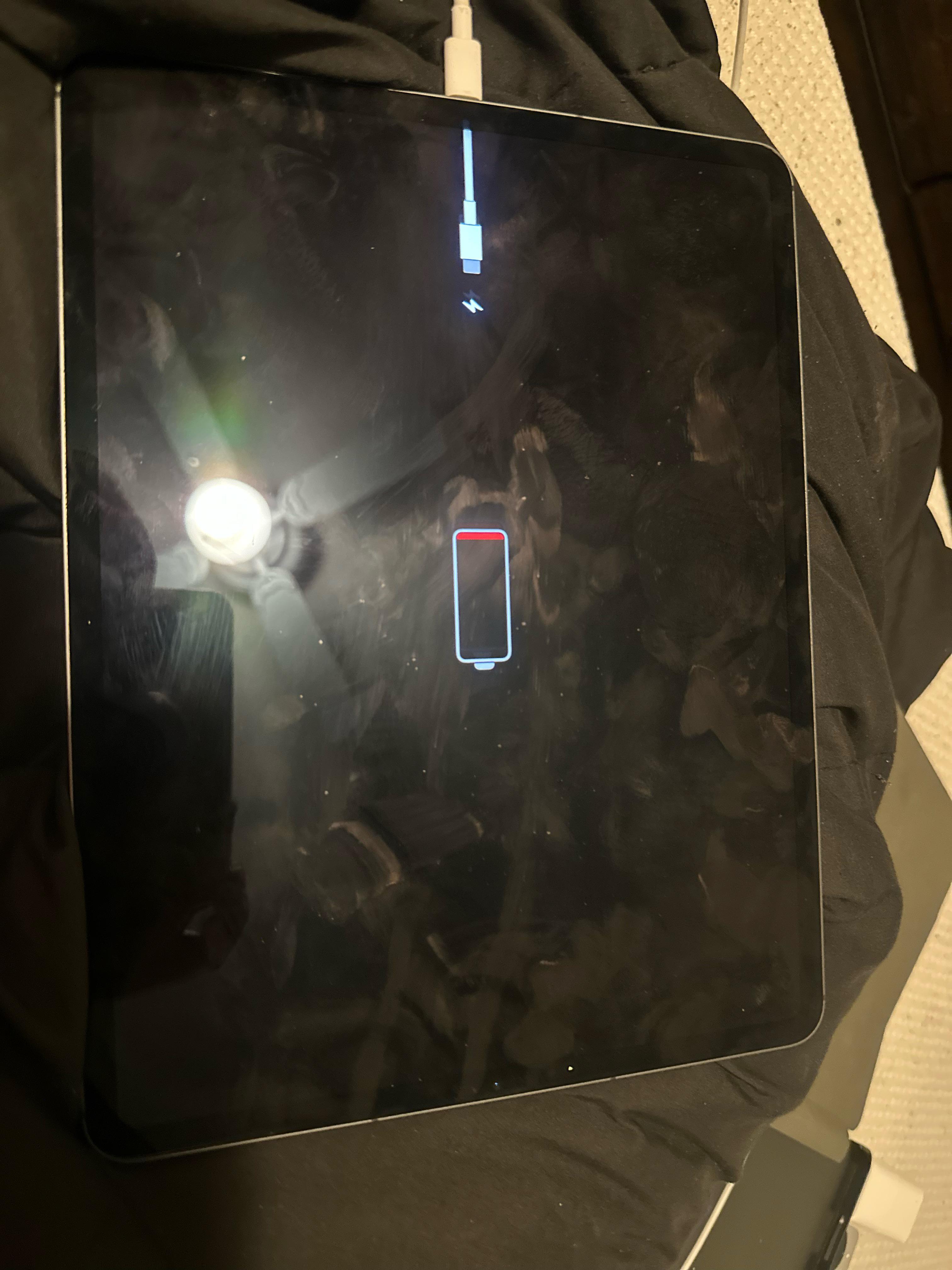 iPad Pro 12.9 が充電器を認識しなくなっちゃったんだけど、買ったの