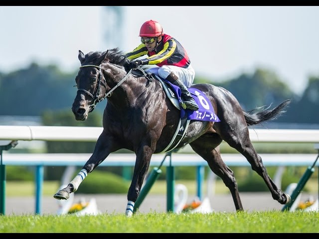 フェノーメノ】第147回 天皇賞春_蛯名正義 - YouTube