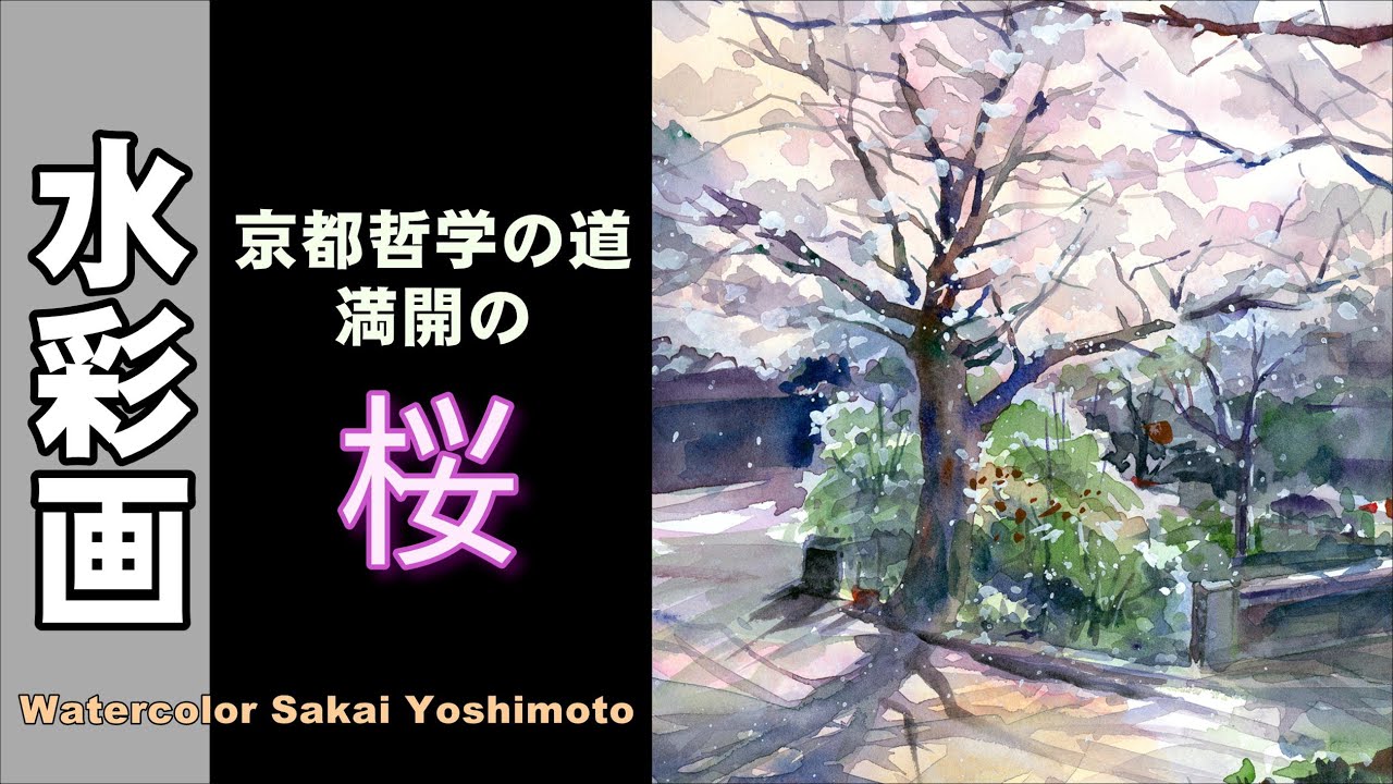 満開の桜風景 京都哲学の道にて 水彩画 酒井芳元 - YouTube