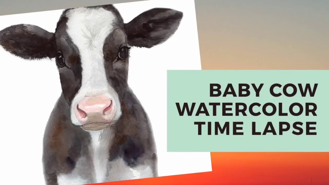 Cow Calf Watercolor Time Lapse - YouTube