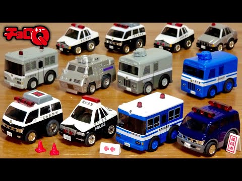 This exciting lineup features a wide variety of gimmicks and