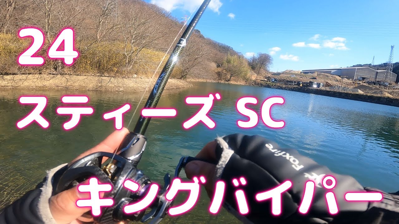 24 Steez SC King Viper In the second part, I threw spinnerbaits