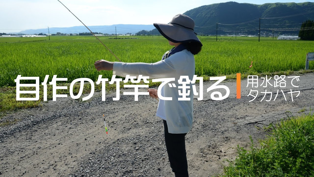 自作の竹竿で釣る - YouTube