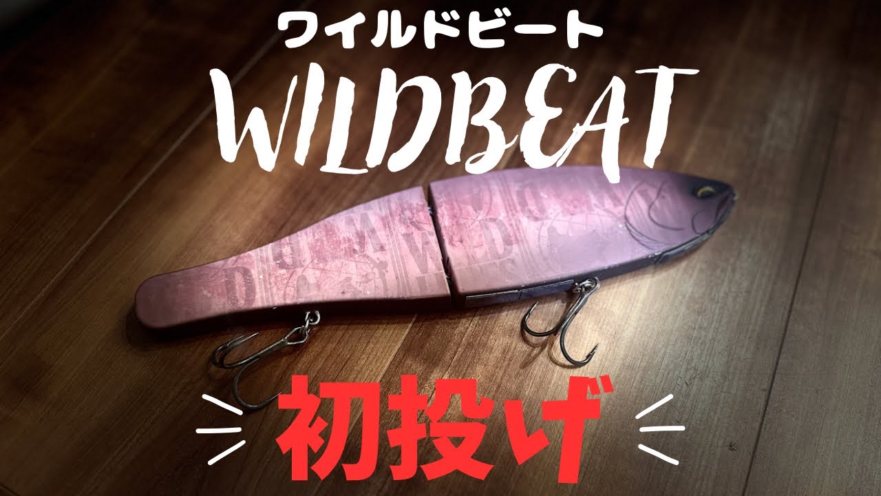 A man who only casts big baits throws his first Wild Beat [Wild