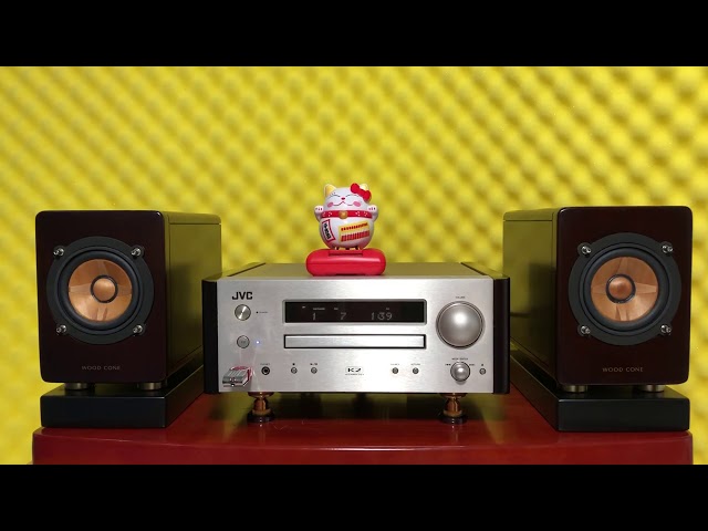 JVC EX HR9 Wood Cone - YouTube