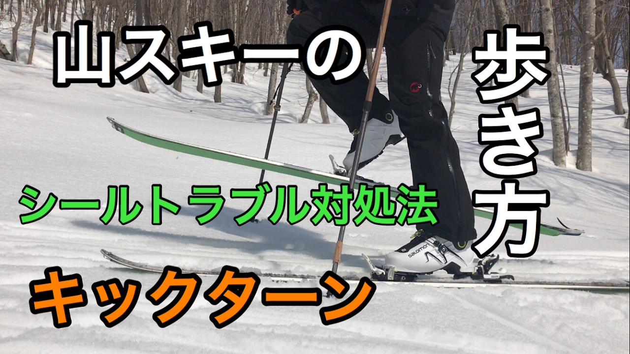 バックカントリー山スキー シールのグルーを張替え作業 POMOCA
