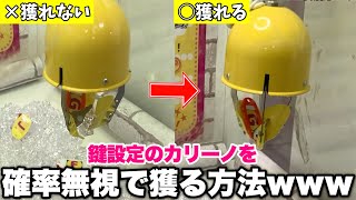 設置店紹介！】クレーンゲームカリーノ（CARINO）のコツ・攻略！UFO