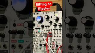 Mutable instruments Ripples (2020) - Eurorack Module on ModularGrid