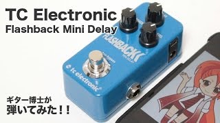 TC Electronic Flashback 2 Mini Delay - 好みのサウンドを入れ替えて