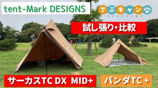 サーカスTC DX MID+ 試し張りとパンダTC+とのサイズ比較 - YouTube